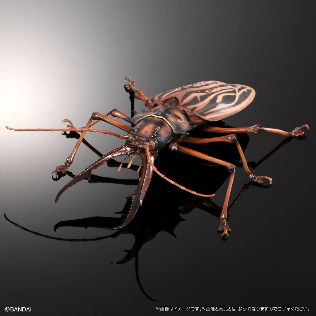 いきもの大図鑑アドバンス オオキバウスバカミキリとハンミョウ