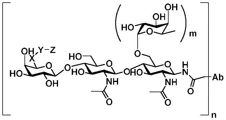 CN114949236A - 二糖连接子、二糖-小分子药物偶联物以及糖链定点抗体