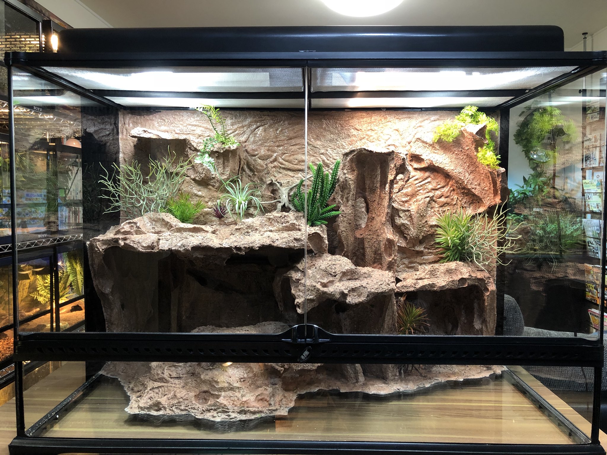 そら 爬虫類ケージ9060 グラステラリウム9060 エキゾテラ GEX ガラス