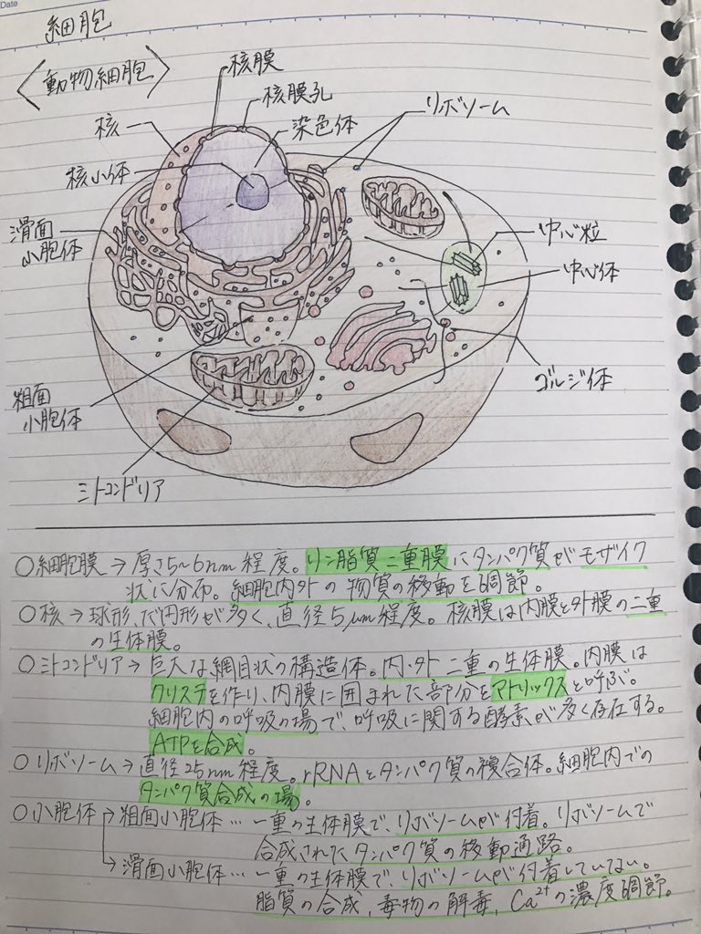 臨床工学技士 授業ノート まとめ 臨床工学技士 授業ノート まとめ