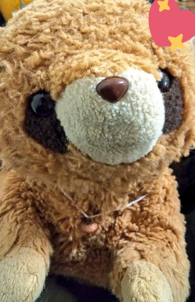 うちのたぬの出身は、 おそらく、ぬいぐるみの三英 …三英貿易さん