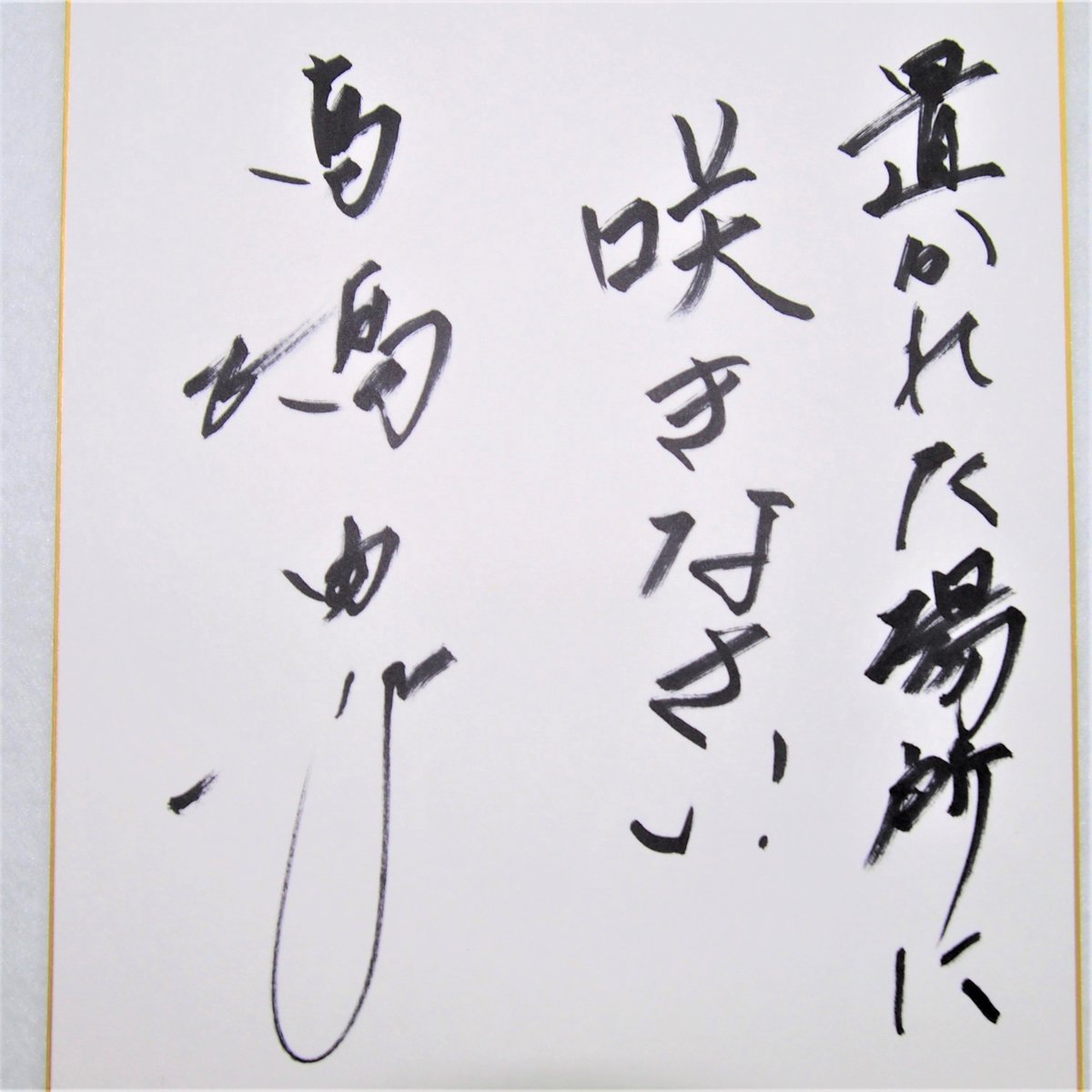 元プロ野球選手の高橋由伸さんから色紙が届いたワン☆ これは、好きな