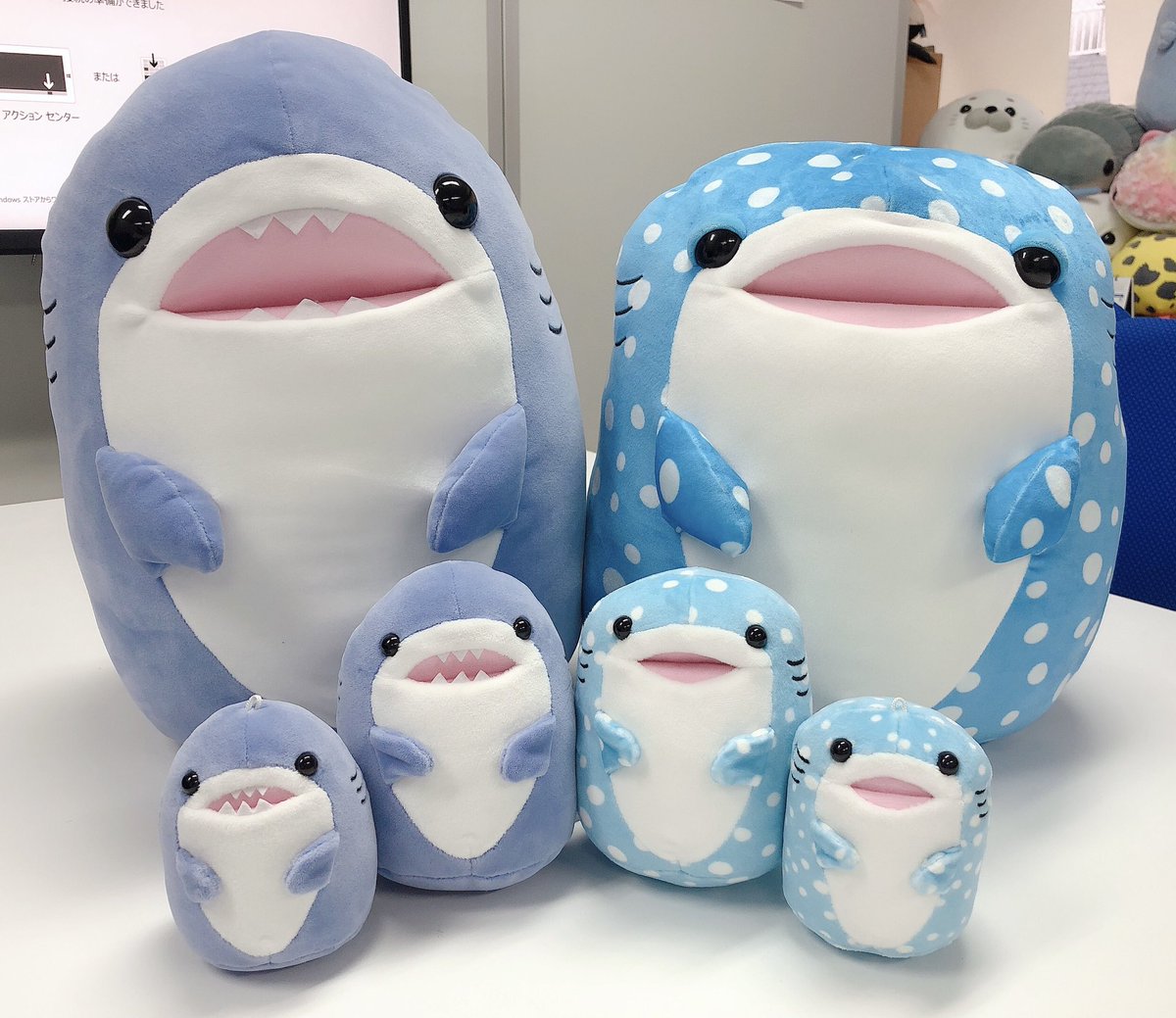☆新商品情報☆ 12月今年最後の新商品をご紹介✨ 🦈サメたちっぱ