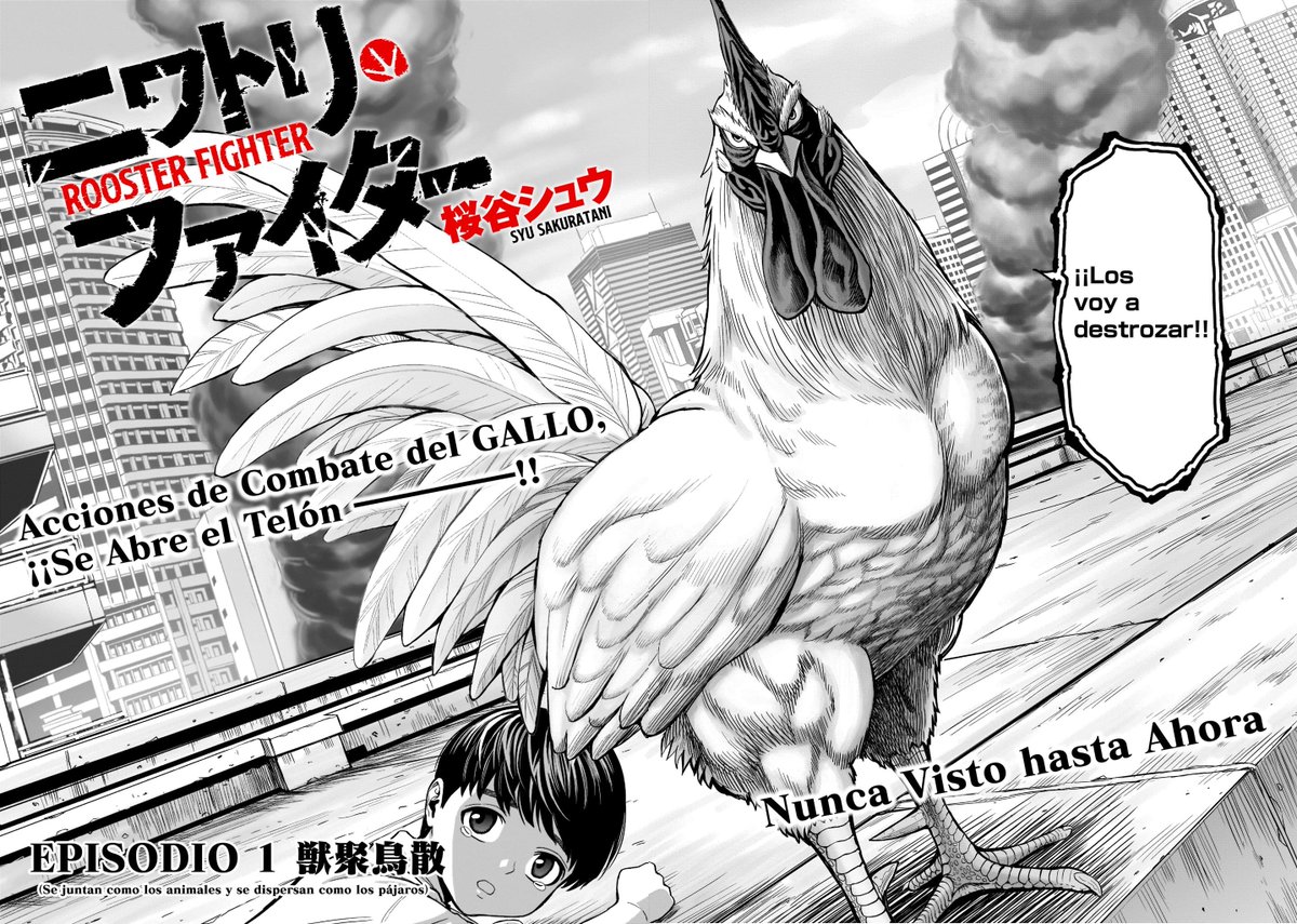 ROOSTER FIGTHER_01（2/8