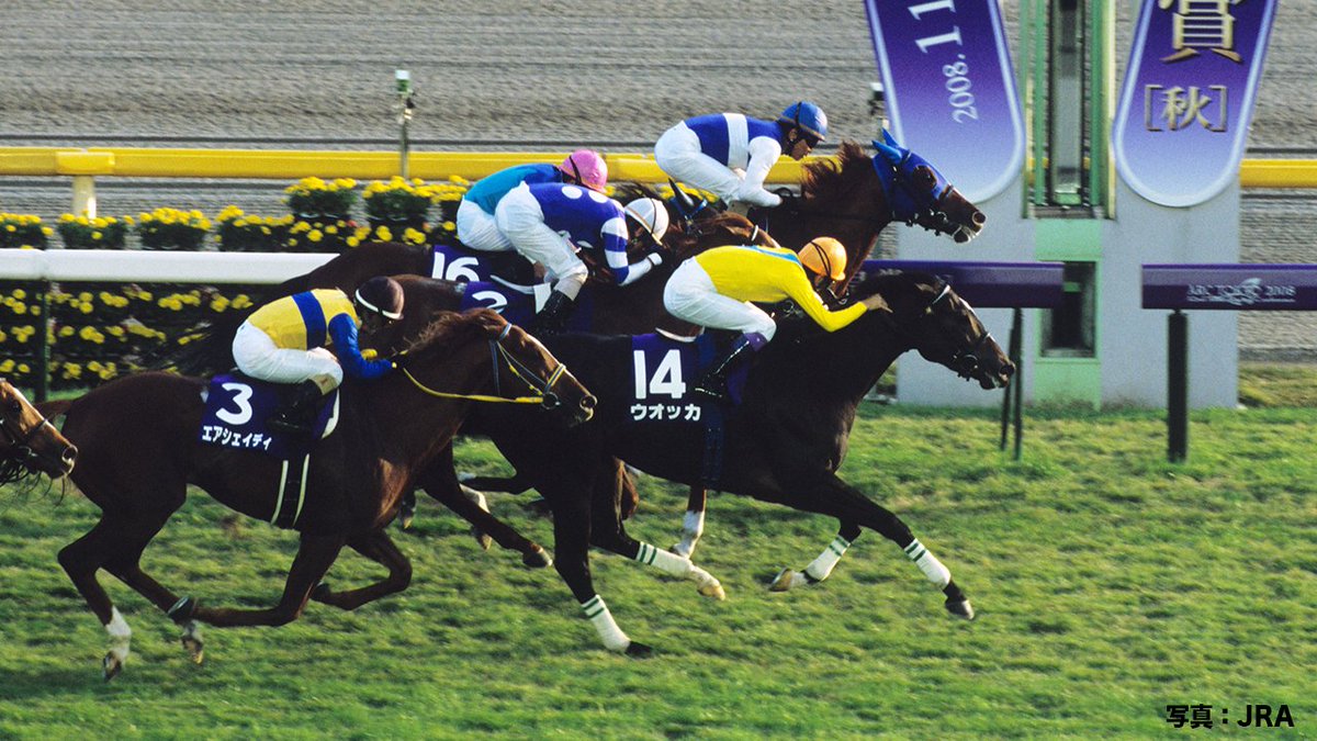 今週末は、天皇賞(秋)(GI)✨ 2008年の優勝馬は、#ウオッカ🥇 ライバル