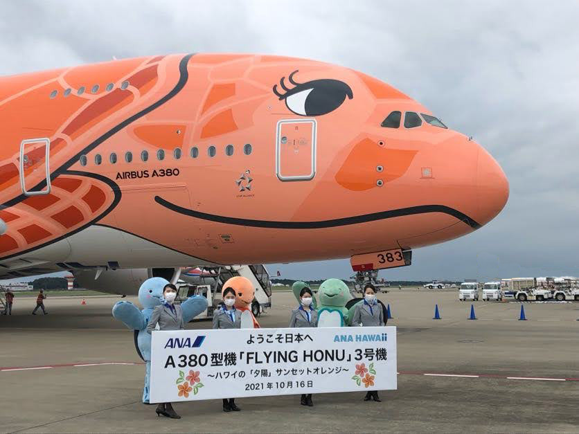 エアバスA380型機 FLYING HONU（フライングホヌ） 3号機「ラー」が