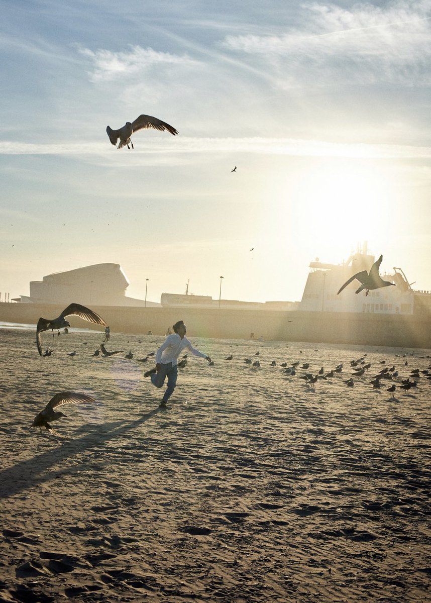 美品】ポストカード他3点付き 「(世界)2 」 仲野太賀 川島小鳥 写真集