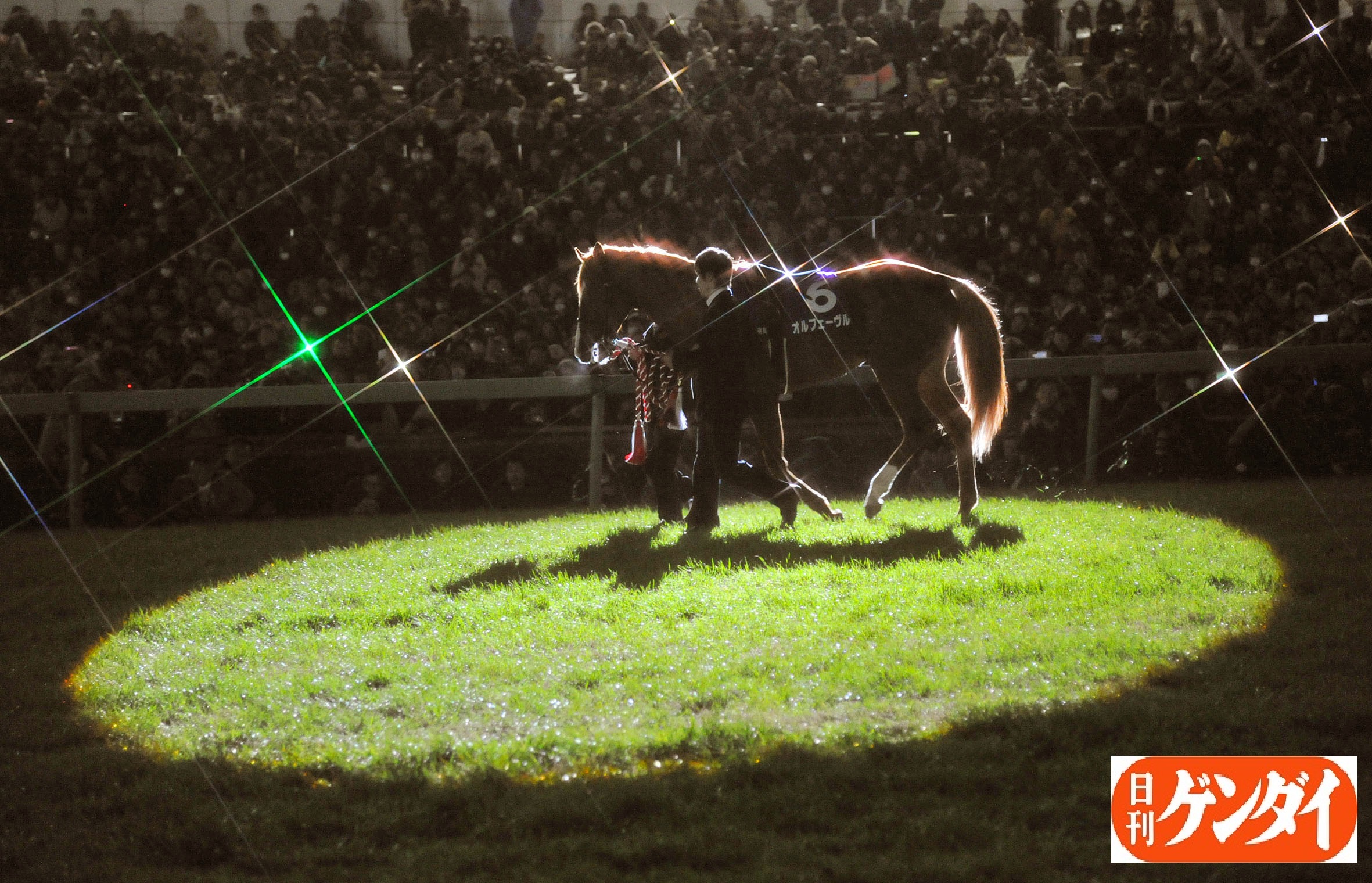 ユーキ オルフェーヴル 引退式額装写真 レース写真同梱 ユーキ様専用