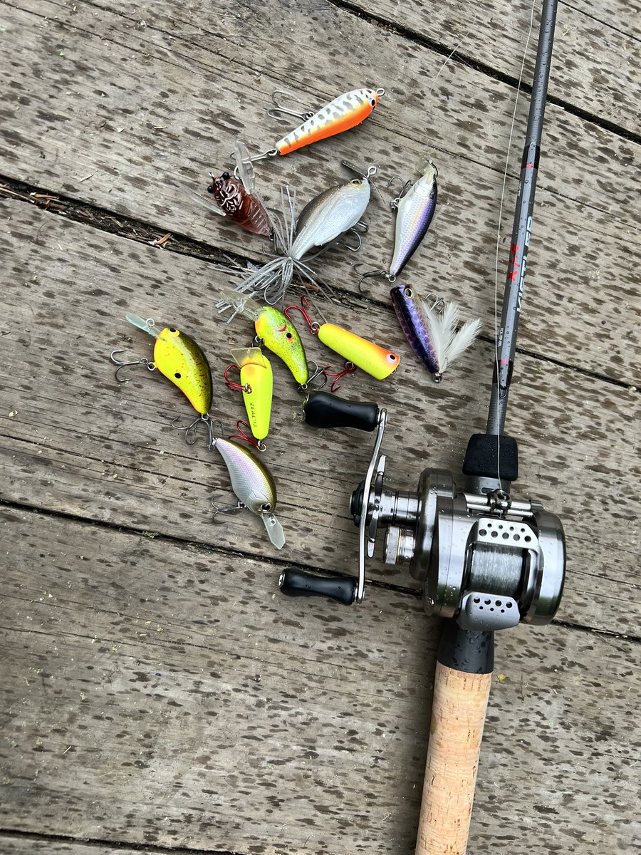 ようやく長らく企画テストしてきたキスラージャパンスペシャル公開です