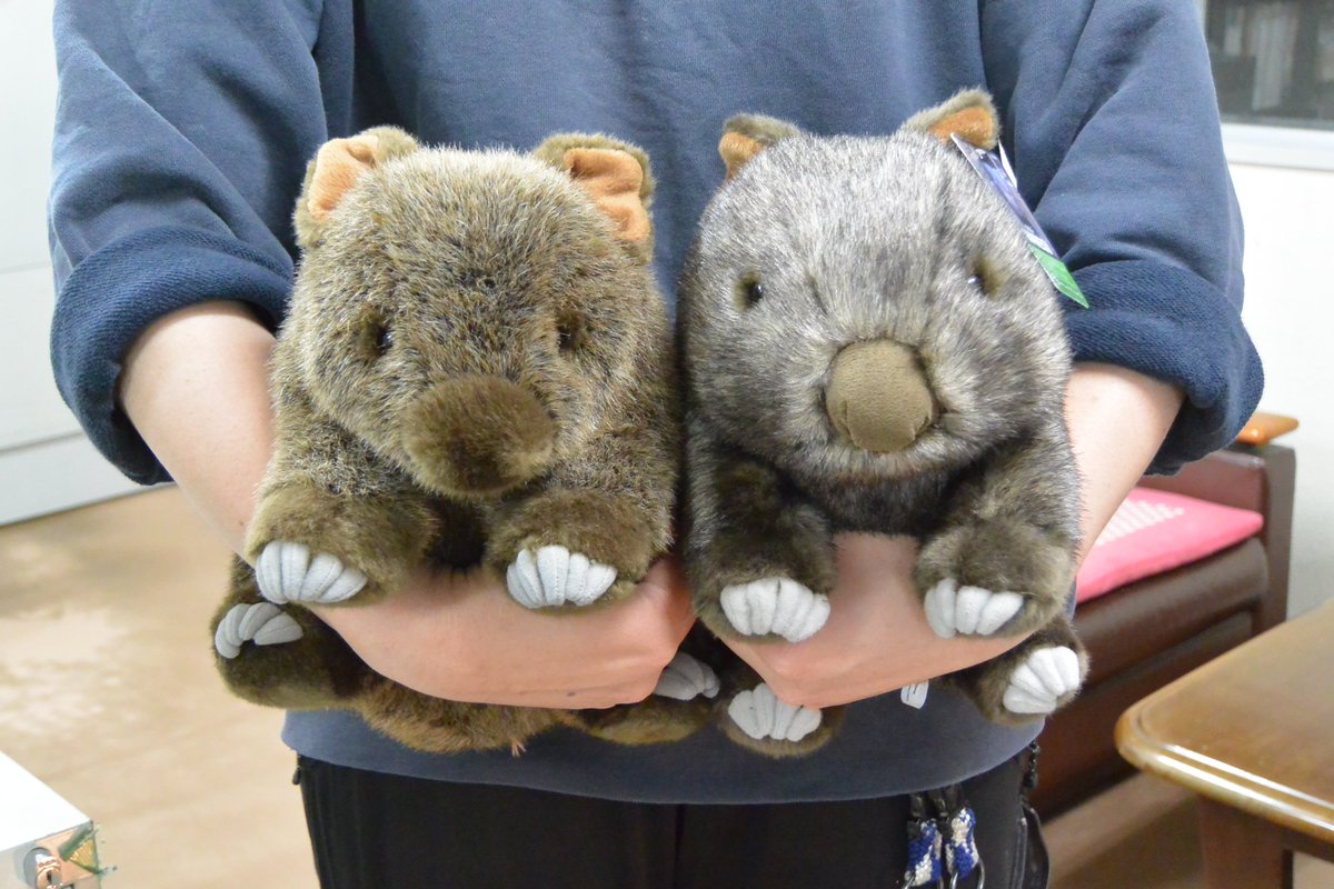 FY_WcoxagAAXMjN.jpg?format=jpg