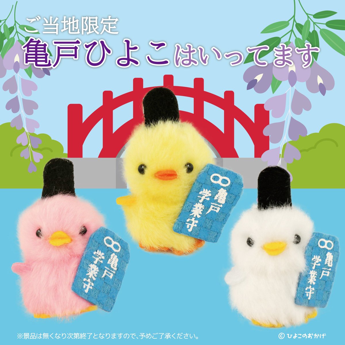地域限定！「#ご当地ぴより〜な」 亀戸ひよこが登場です🐤✨ 学生さん