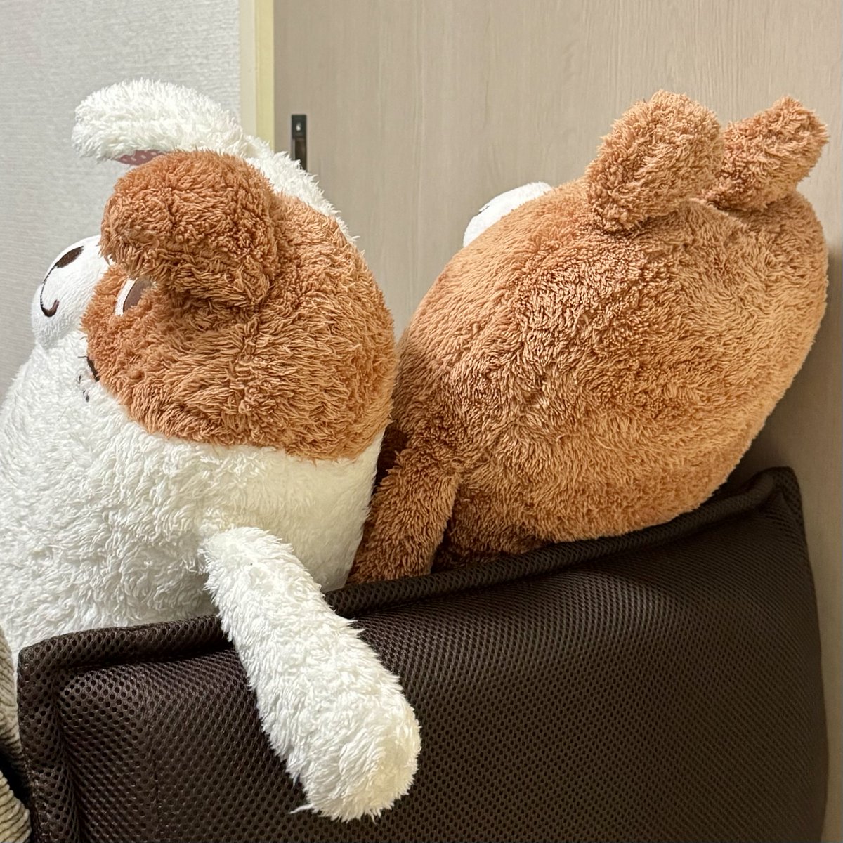 ぐーたらポッケのポッケちゃ🐸 (@Pokke_pokepoke) / Posts / X