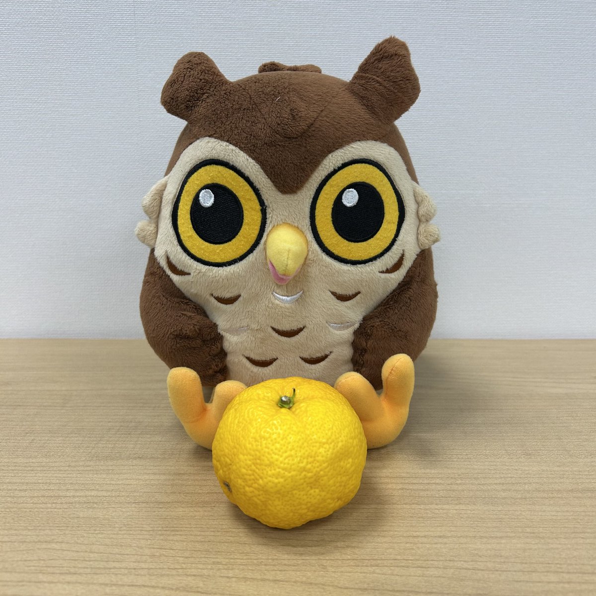 今日は何の日？12月22日】 今日は冬至⛄1年で1番夜が長い日だよ