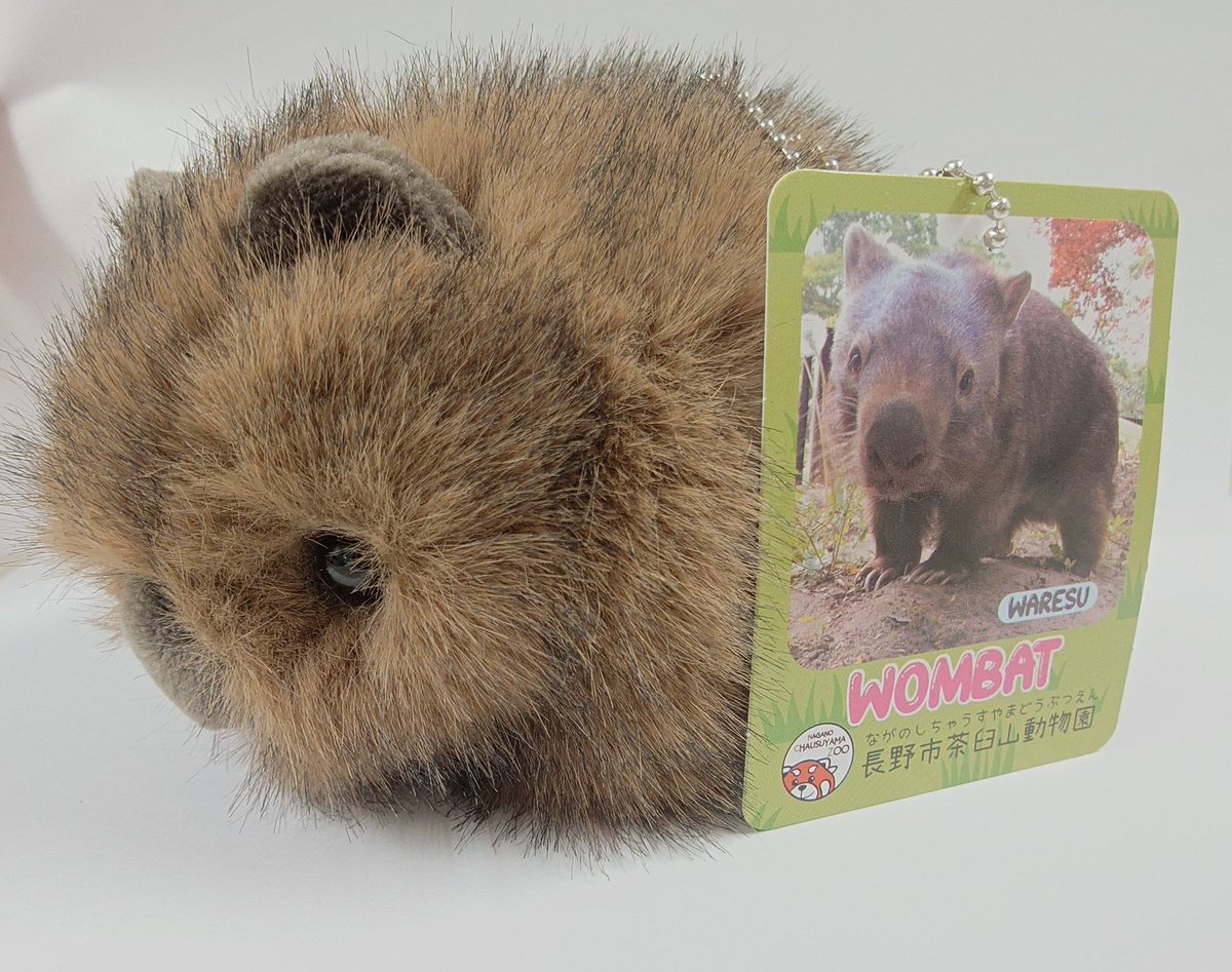 G0J9EDqaYAA3PDP.jpg?format=jpg