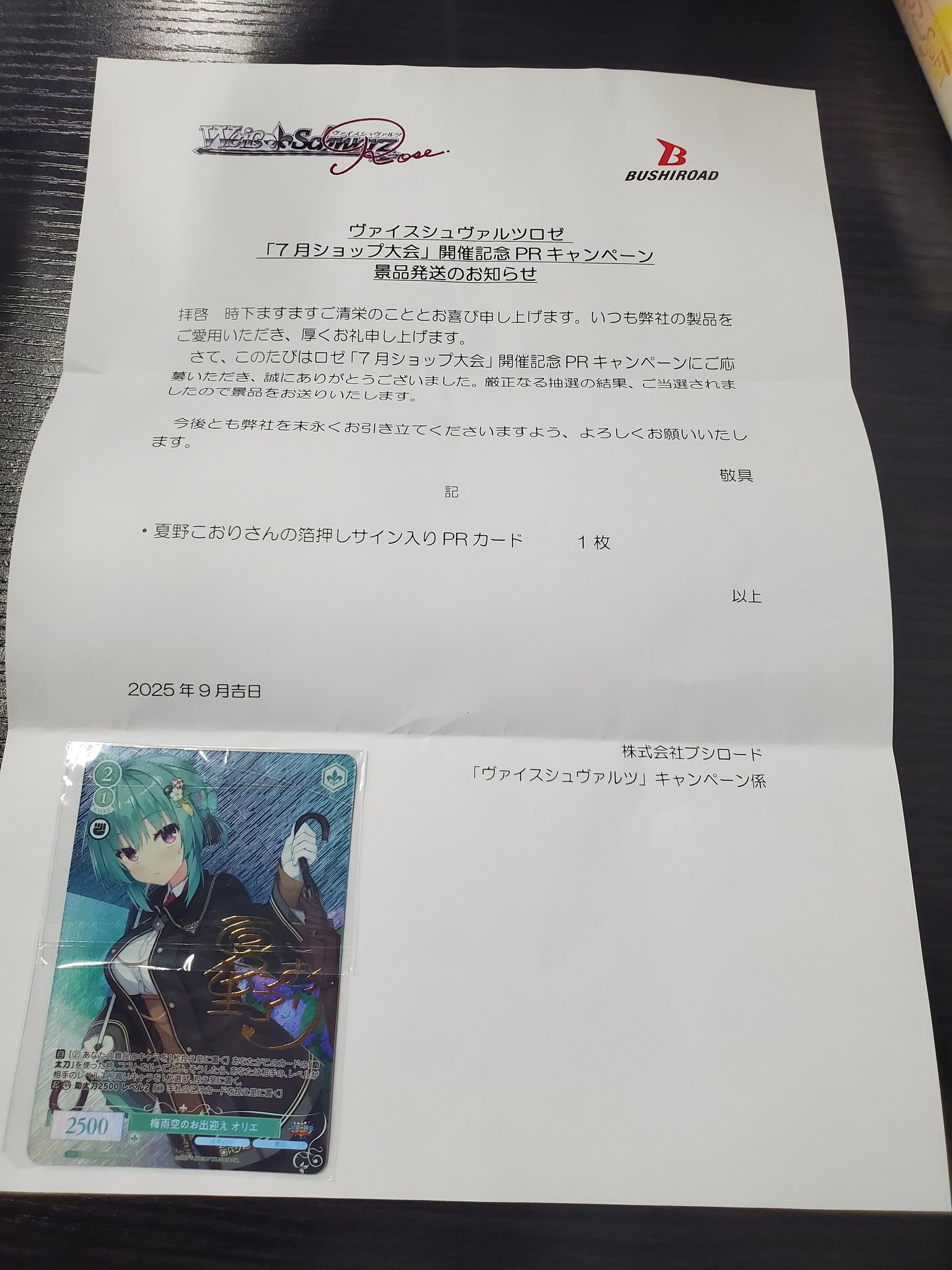 WSR ゆずソフト PR+「梅雨空のお出迎え オリエ」 WSR ゆずソフト PR+