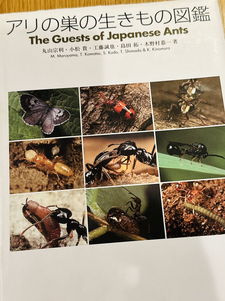 G2DREP5agAAgUzy.jpg?format=jpg