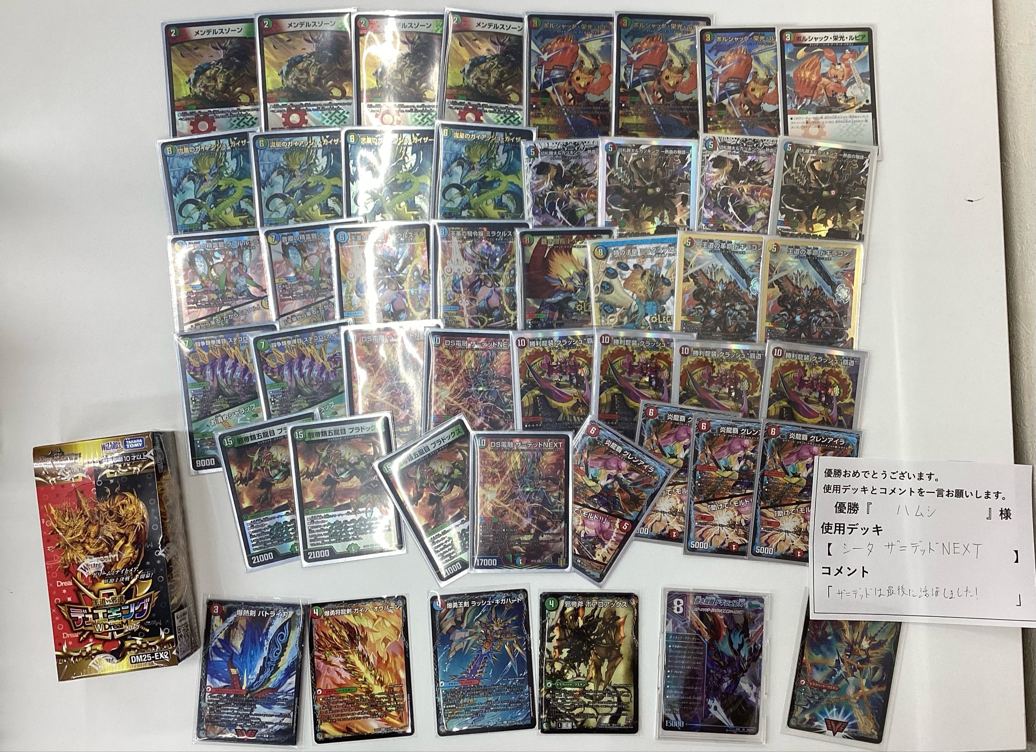 アドバンス ガイアッシュ覇道 優勝・入賞デッキ まとめ | 決闘者のTCG