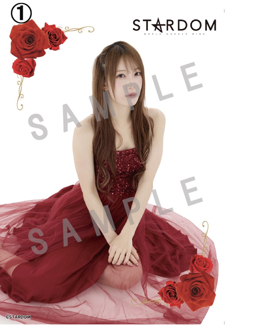 エ*ス様 貴重品 スターダム ☆ 鹿島沙希 名刺 business card エ*