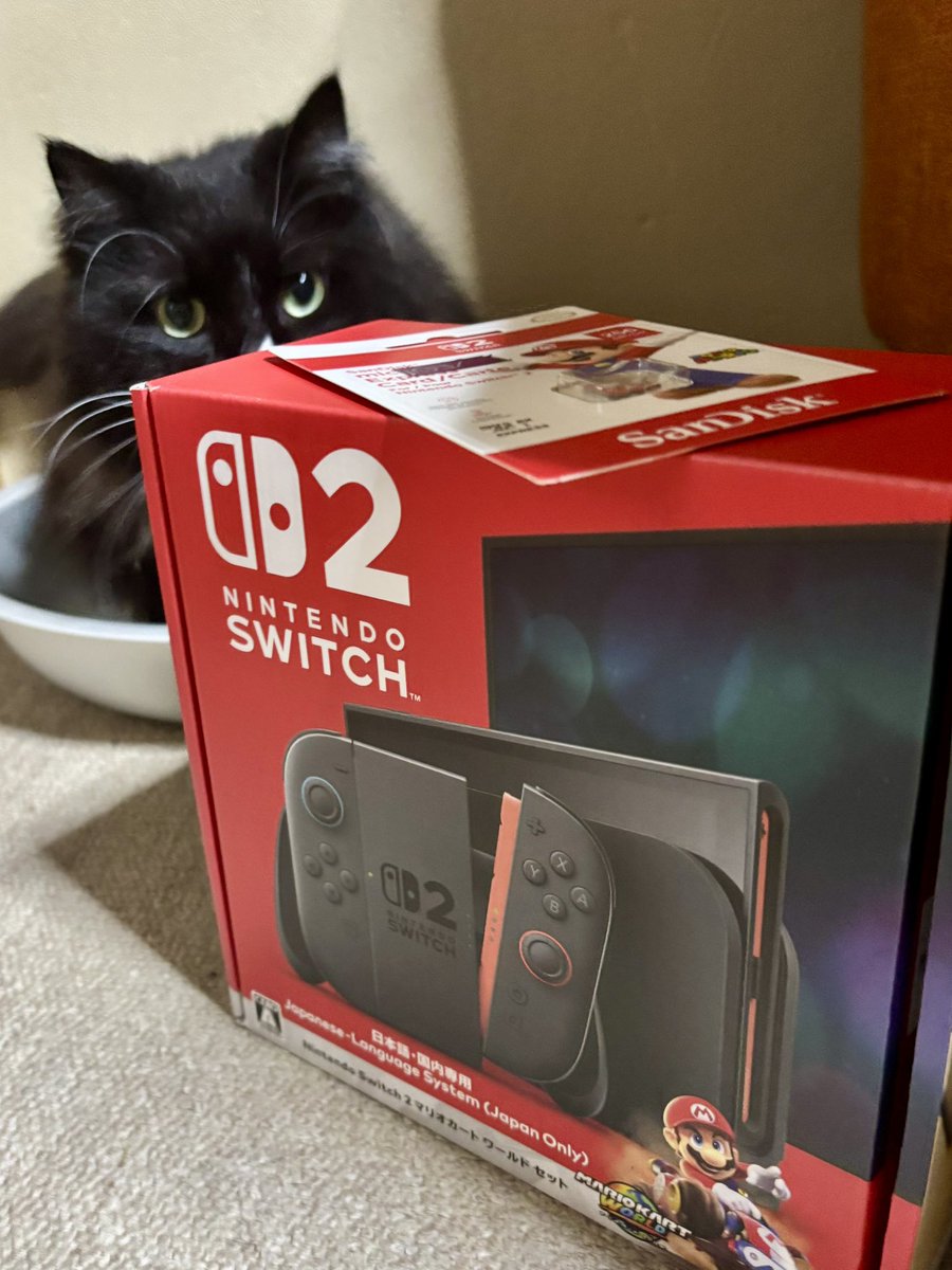 もはや真夏のマリオと猫のオデッセイパック〜 もはや真夏のマリオと猫