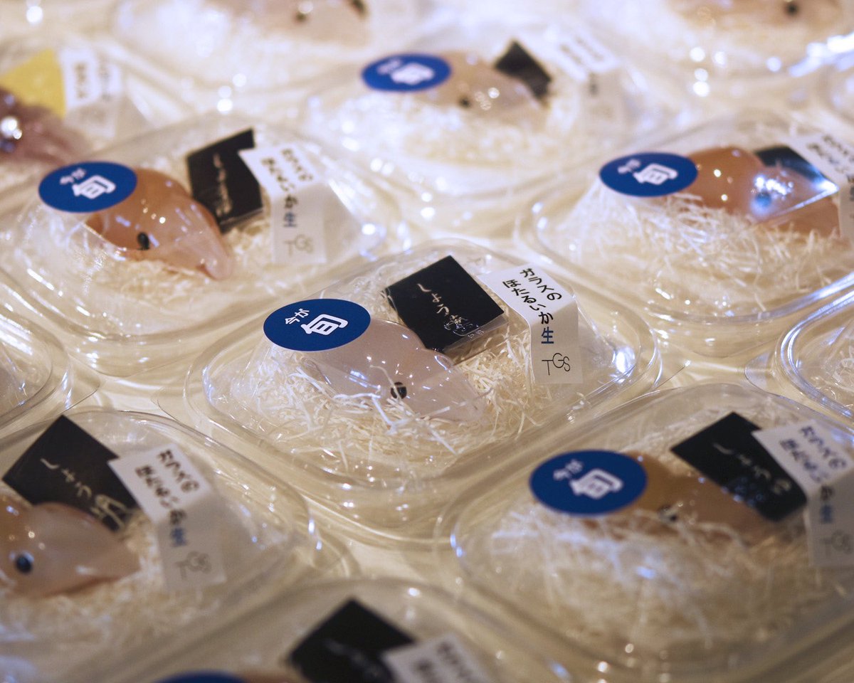 お待たせいたしました‼️ 明日4月27日（土）より富山ガラス工房 第二