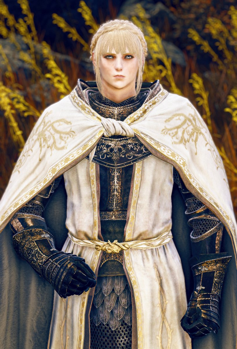 針の騎士、レダ / Leda イラスト通り、美しいお顔！ (Tap to expand