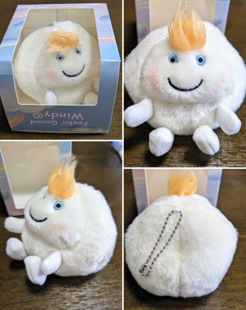 Windyちゃん届いたー!! 風さんのメッセージも🍃✨ どこから見ても