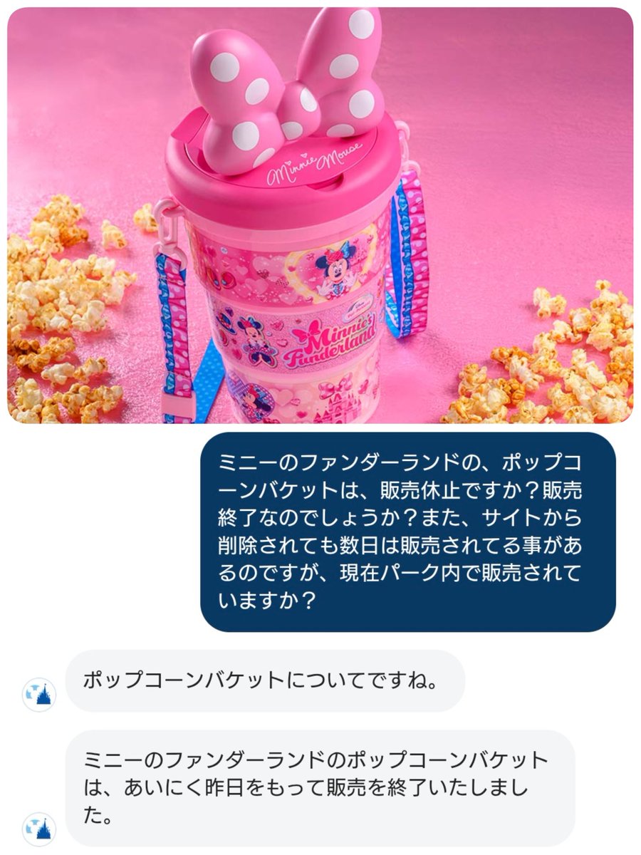 ━━━━━━━━━━━━ #東京ディズニーランド 🎀ミニーのファン