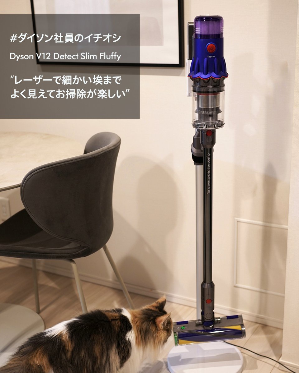 ダイソン社員のイチオシ Dyson V12 Detect Slim Fluffy