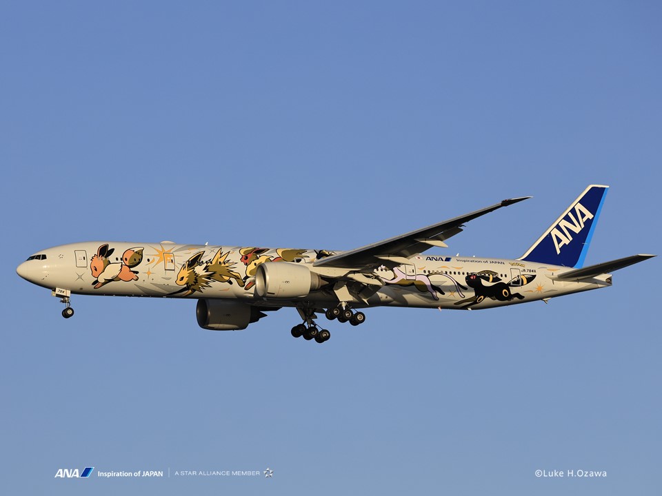 ✨今日は #ポケモンデー✨ #ANA では #ピカチュウジェットNH #イーブイ