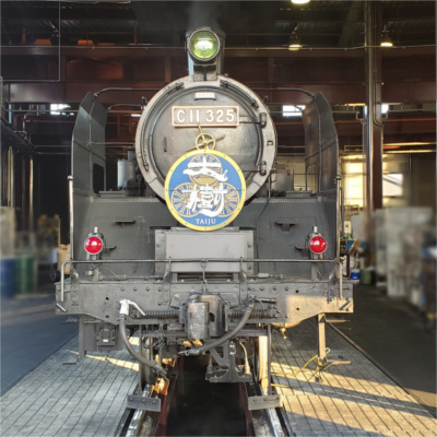 答え合わせ！正解は！ 🚂赤いランプ！🚂 機関車標識燈（標識灯）と