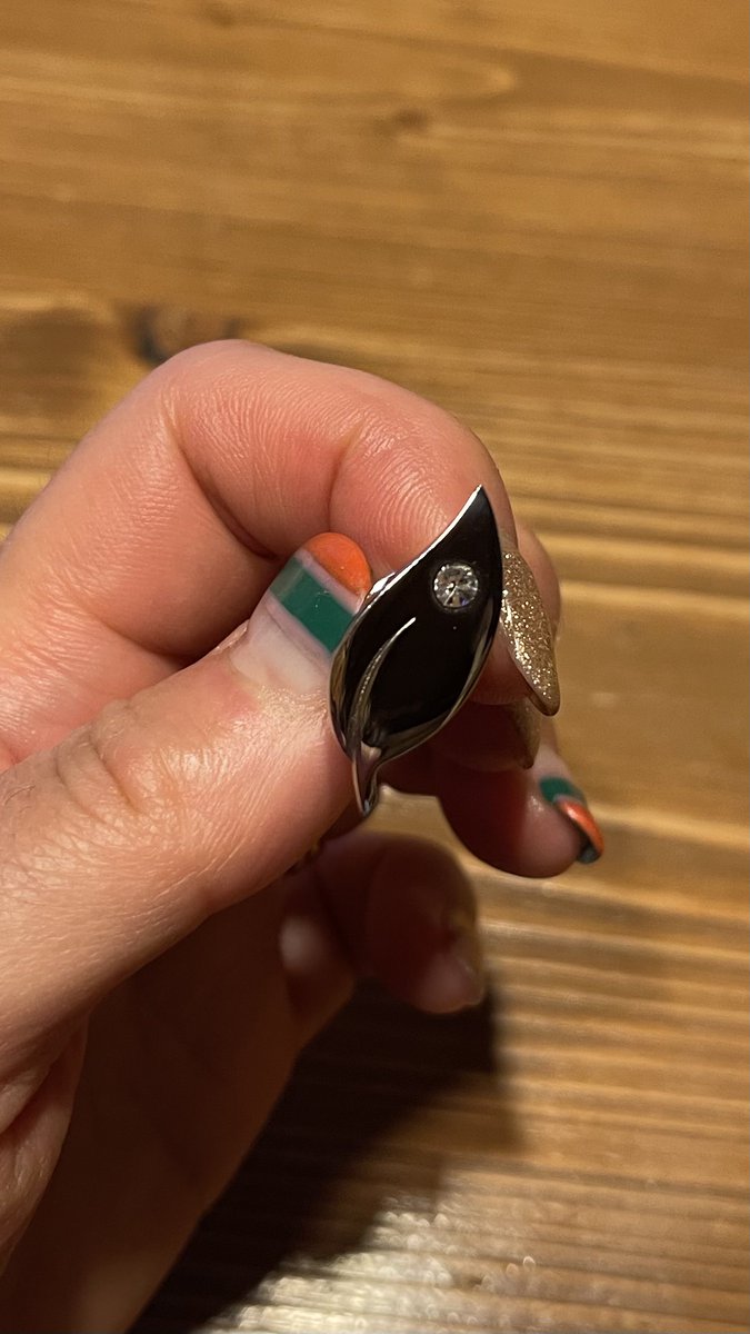 ようやく1級国立公園検定の合格者に もらえるバッジが届いた。 第1回目