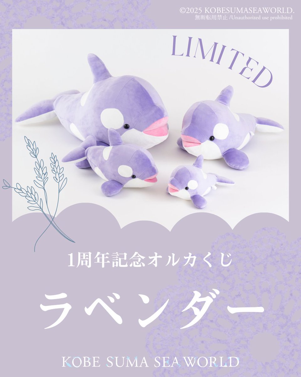 ✨開業1周年記念✨ 2025年6月1日（日）から オルカくじの1等から4等に