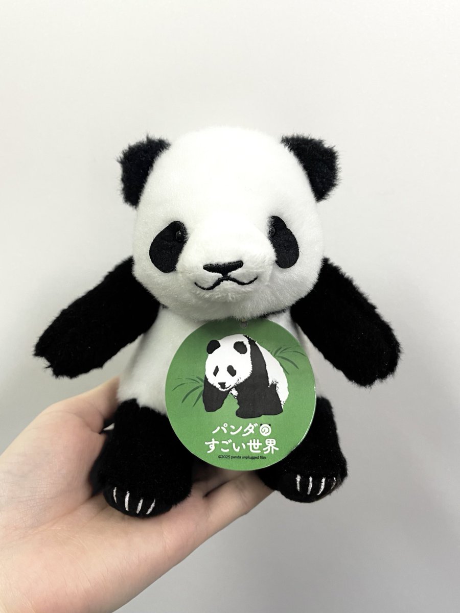 パンダのすごい世界」を観る前にお迎えして一緒に映画を観ようか