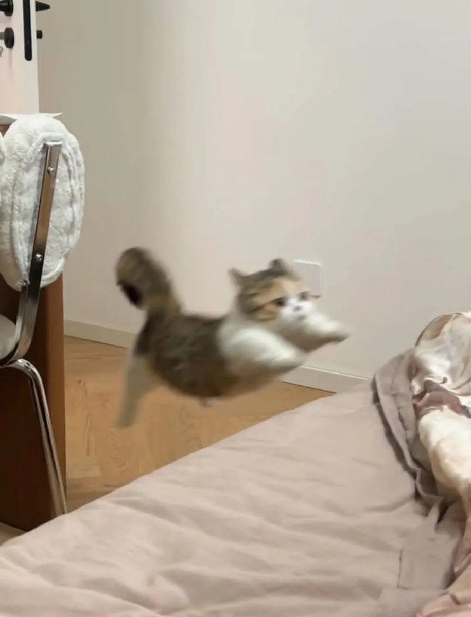 鈴木亜美 (@ami927sn) / Posts / X