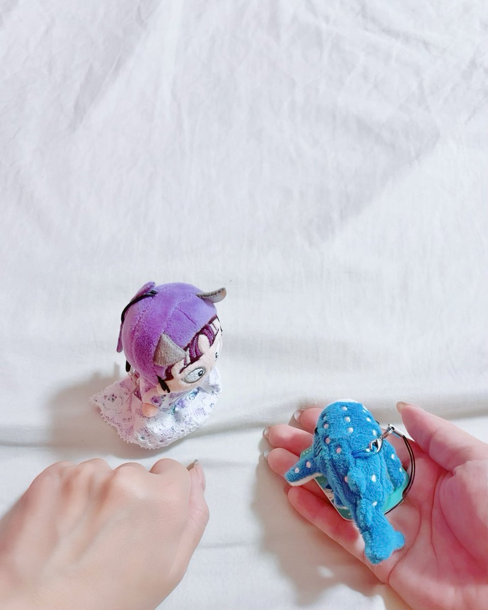 まろ🦊 (@maro_188x160) on X