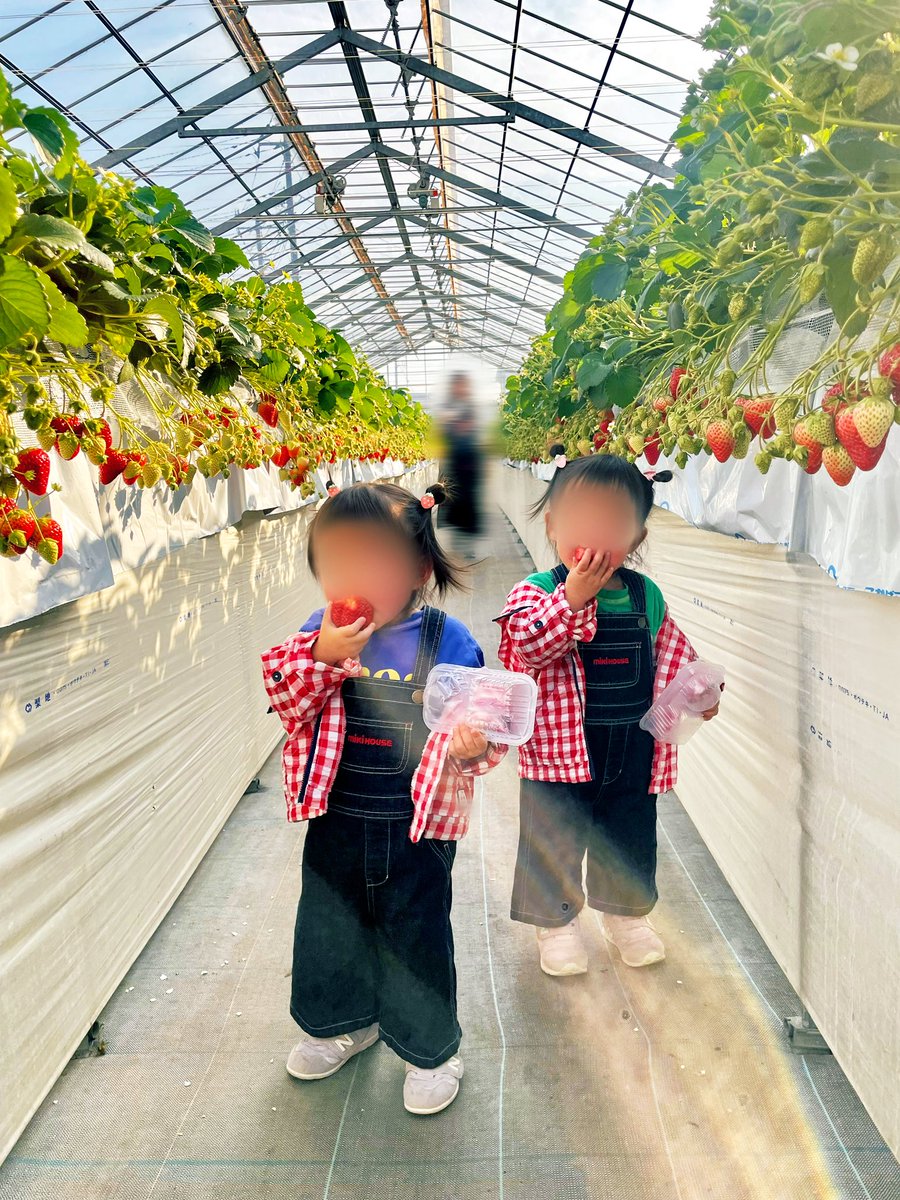suu☺︎🍒双子ママ (@_a__a__a__twins) / Posts / X