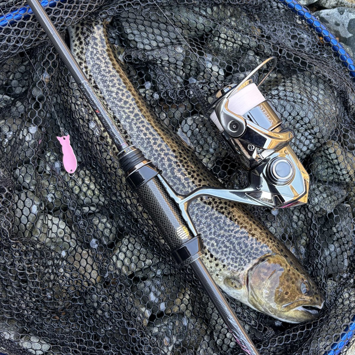 ꢤかびんちゃんꢏ (@KabinchanHSSP) / Posts / X