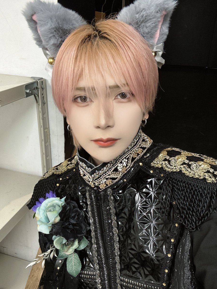 Post by はく【XP!A】 on X: にゃん🐱