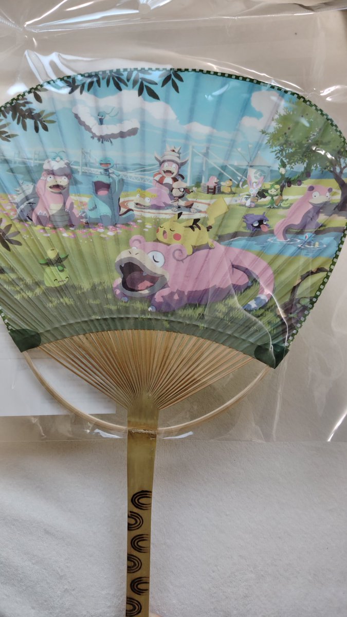 ポケモンセンターカガワ限定と聞いてつい買ってしまったのだけどいつ