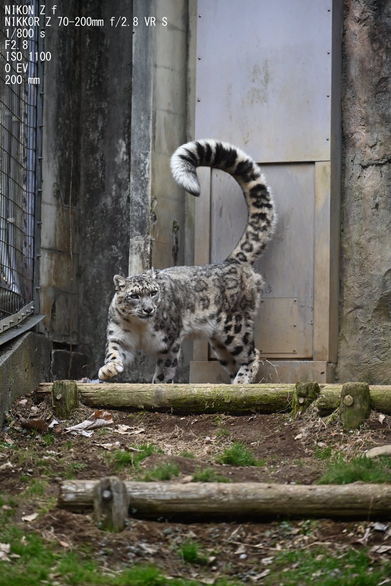 ちなみに撮影してそのまんまの写真がこちらで撮影データは左上に記載