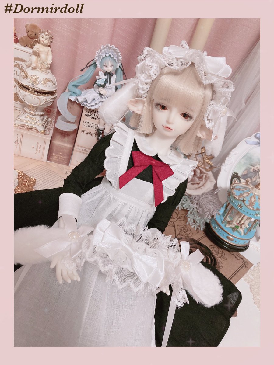 お菊ちゃん@燈籠茶屋 (@okikutyan8888) / Posts / X