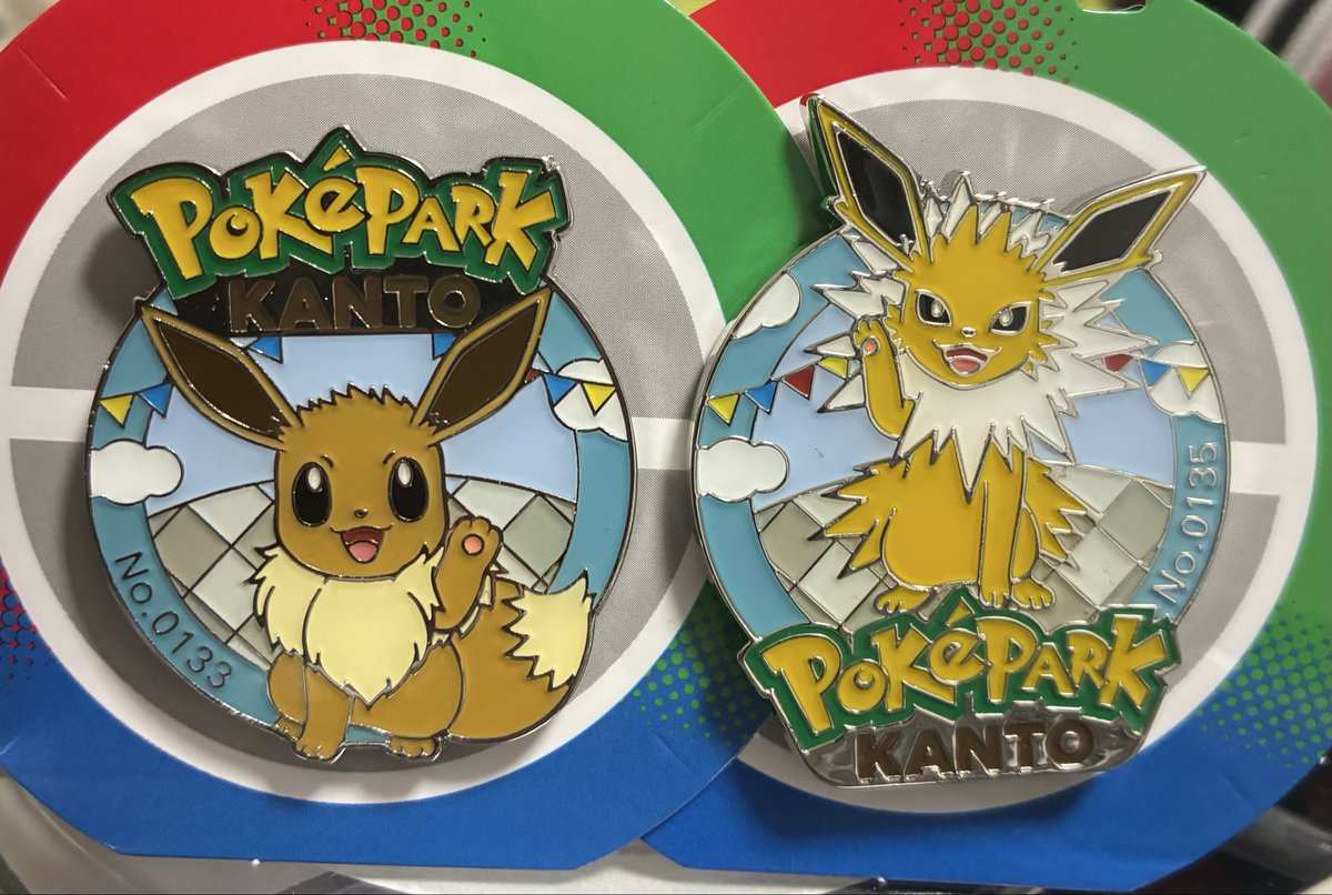 あとこの奇跡のポケパーク神ピンズを観て癒されてる。イーブイは奇跡的