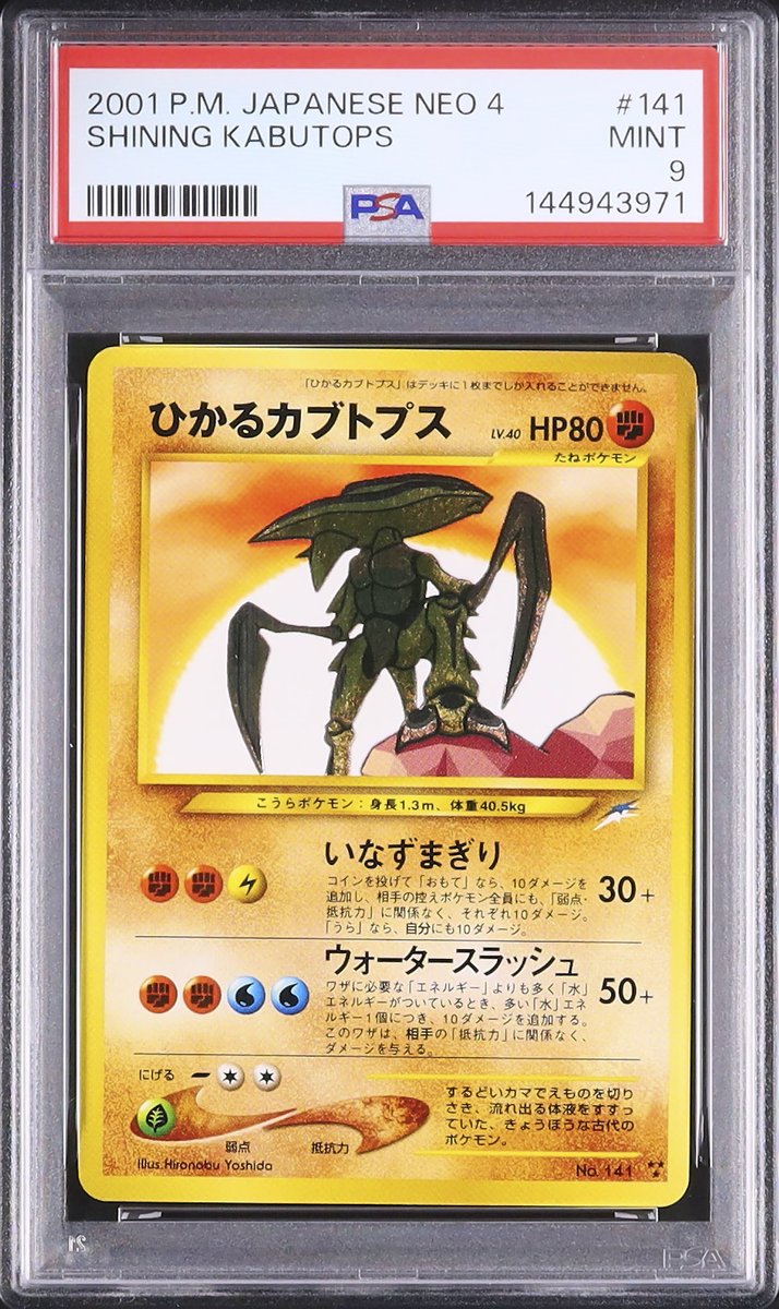 ✧ ・ﾟ: 📸 本日のピックアップ :・ﾟ ✧ 💎 LOT L0225 ひかる