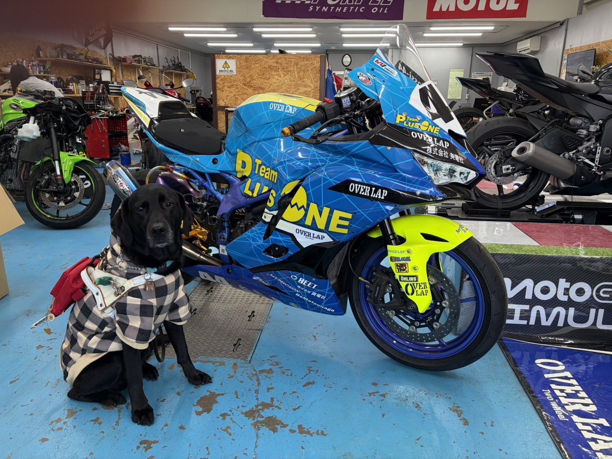 この子凄く可愛んだよなぁ〜また来てください😊