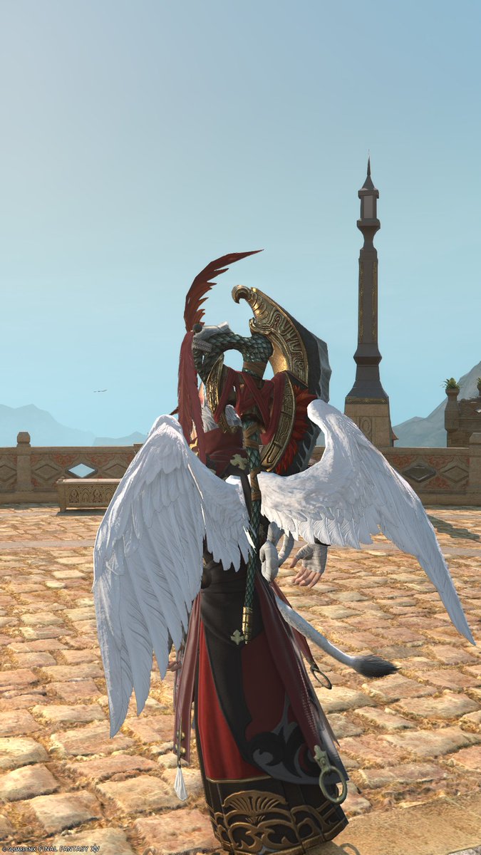 使う予定はないけど貰っちゃったぜ