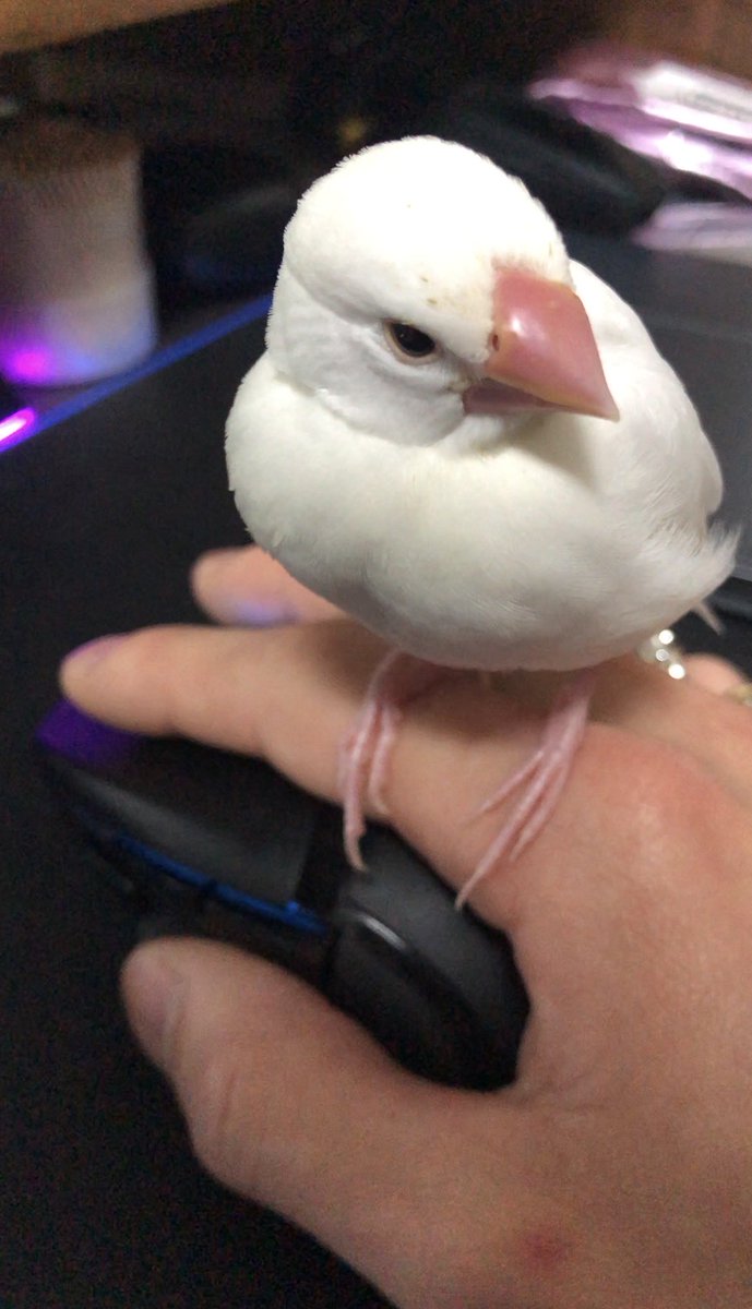 るるる (@rururutte) / Posts / X