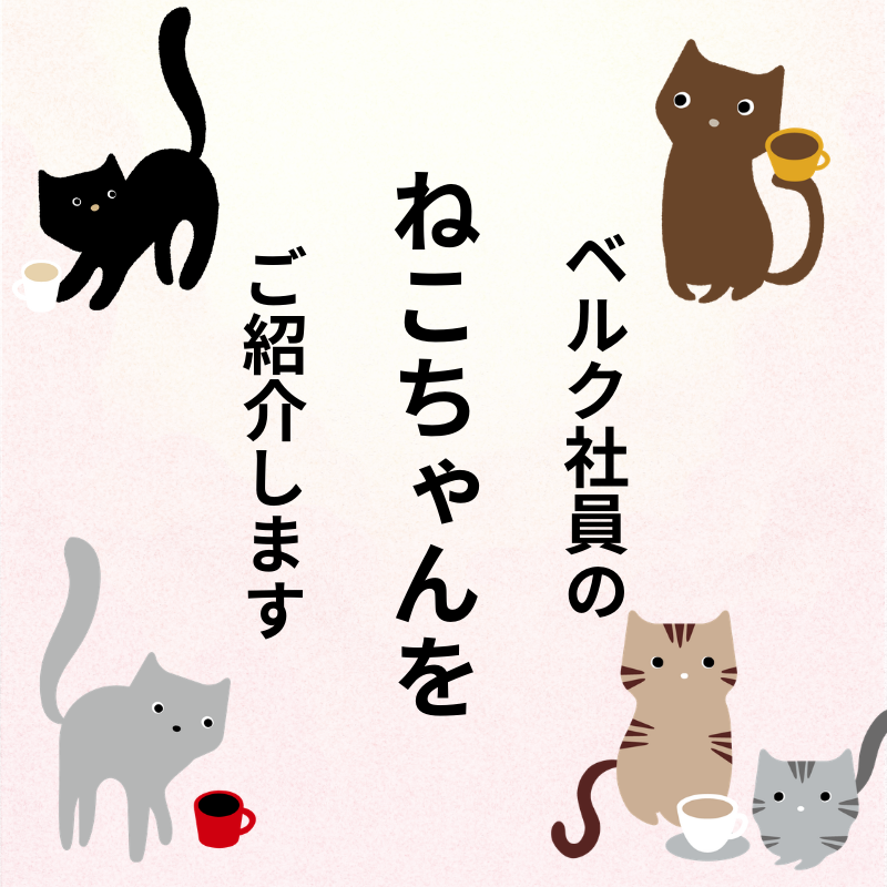 本日(2/22)は #猫の日 ということで🐾 #ベルク社員のにゃんこ の