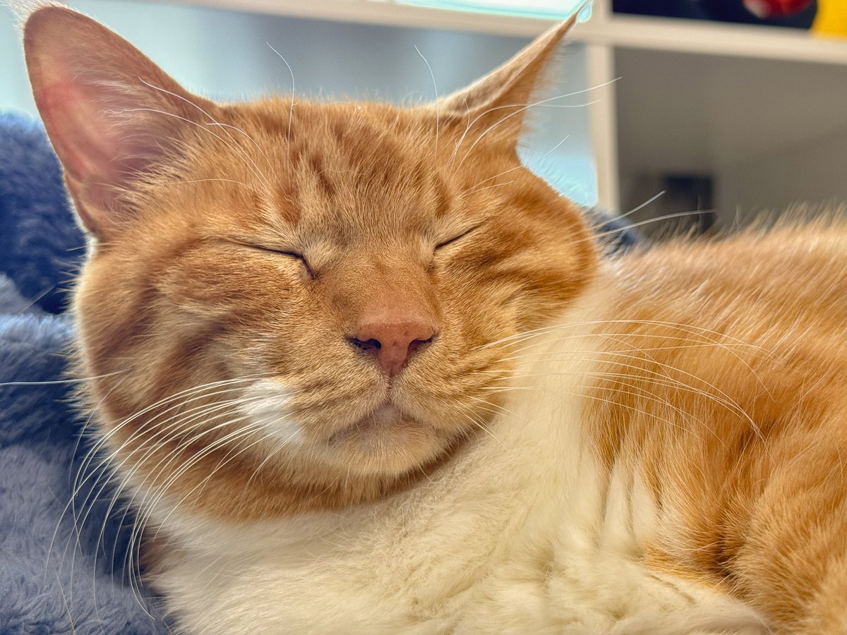 はるきち (@harukichi425) / Posts / X