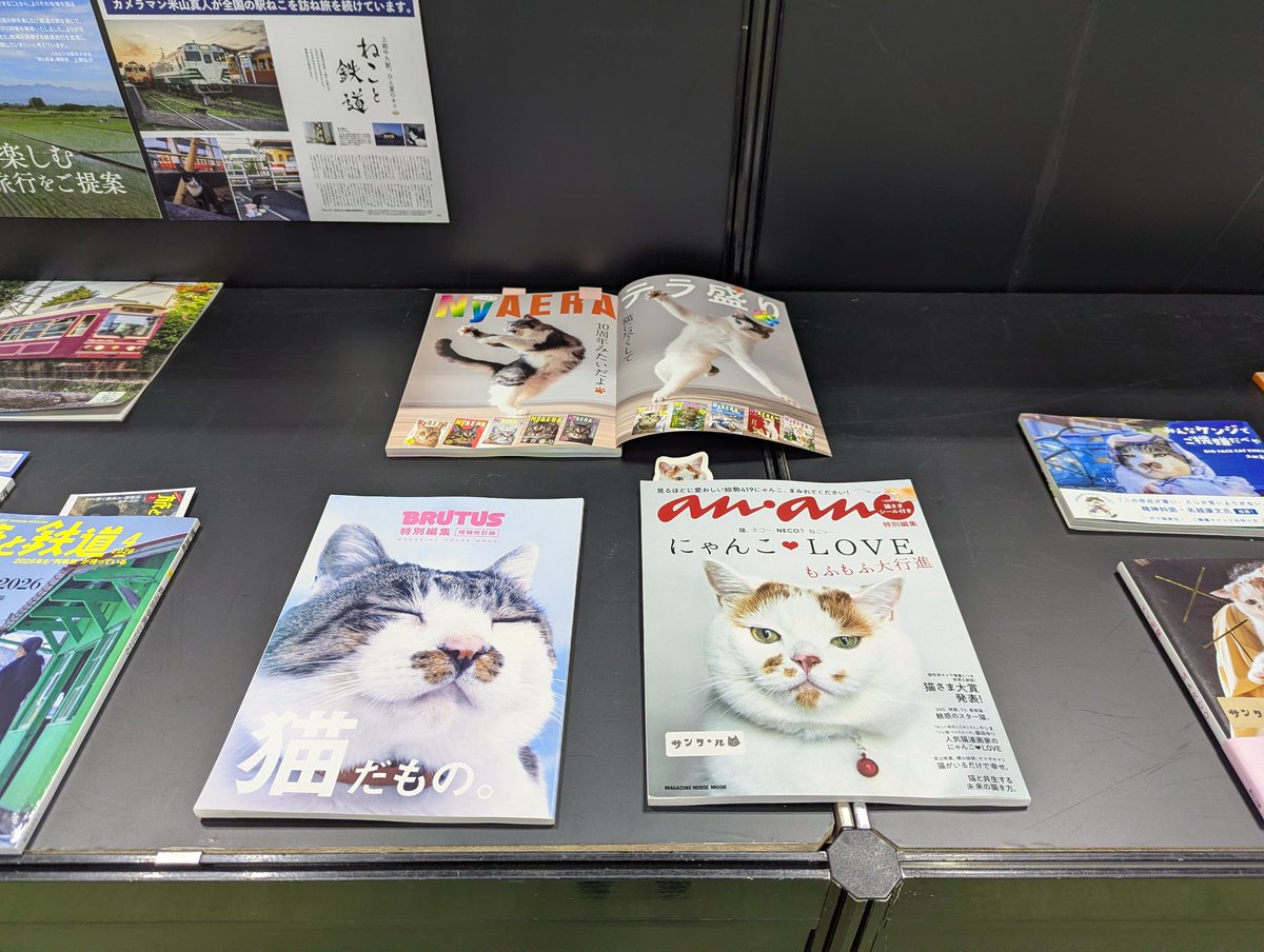 MARCO 🟡写真集「メイ先輩」🟡 (@marco74444) / Posts / X