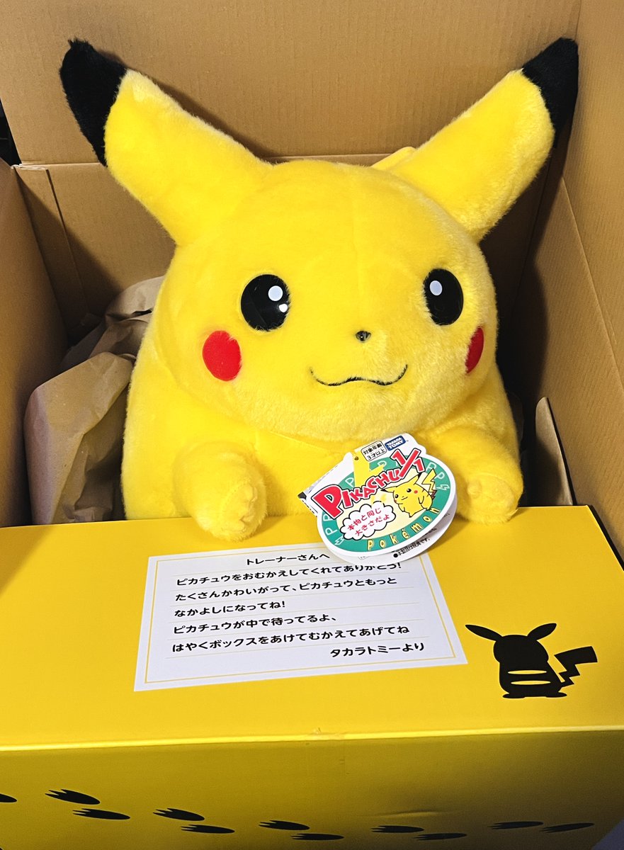 1/1初期ピカチュウ 特別な箱のメッセージが素敵。ずんぐりすぎる後ろ姿